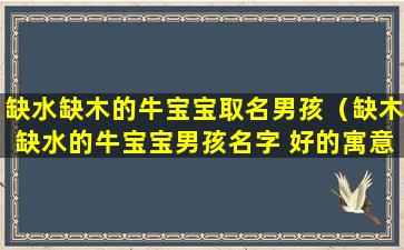 缺水缺木的牛宝宝取名男孩（缺木缺水的牛宝宝男孩名字 好的寓意）